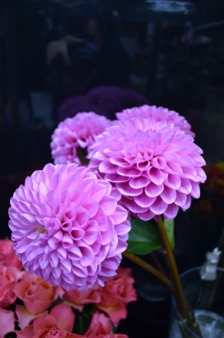「ファイブシーズンズ」　（長野県千曲市）の花屋店舗写真3